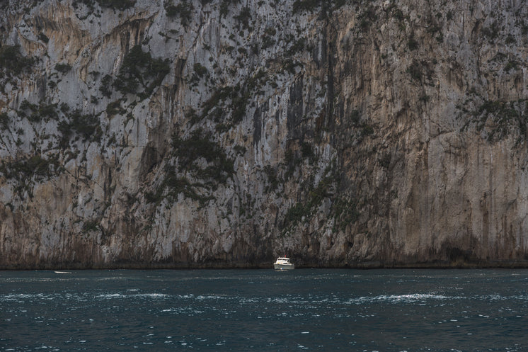 https://burst.shopifycdn.com/photos/boat-in-front-of-huge-cliff.jpg?width=746&format=pjpg&exif=0&iptc=0