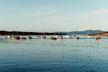 boats in ocean marina