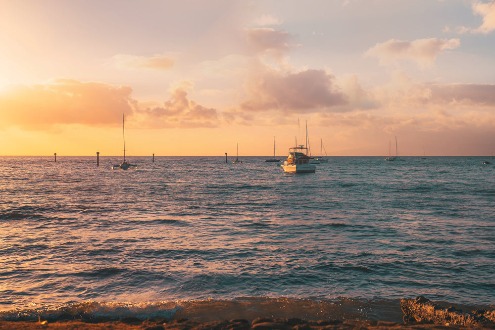 boats on the water