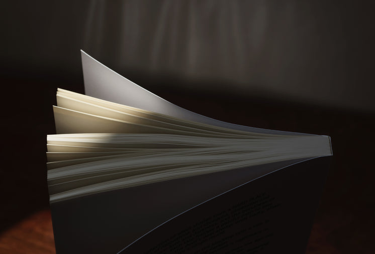 book-stands-up-opening-the-pages-in-sunl