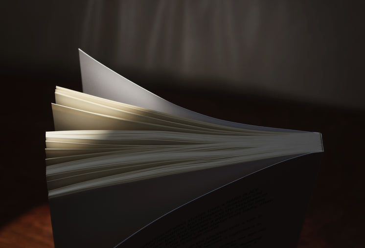 book-stands-up-opening-the-pages-in-sunlight.jpg?width=746&amp;format=pjpg&amp;exif=0&amp;iptc=0