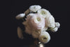 bouquet of white blossomed flowers