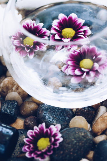 bowl of flowers on stone