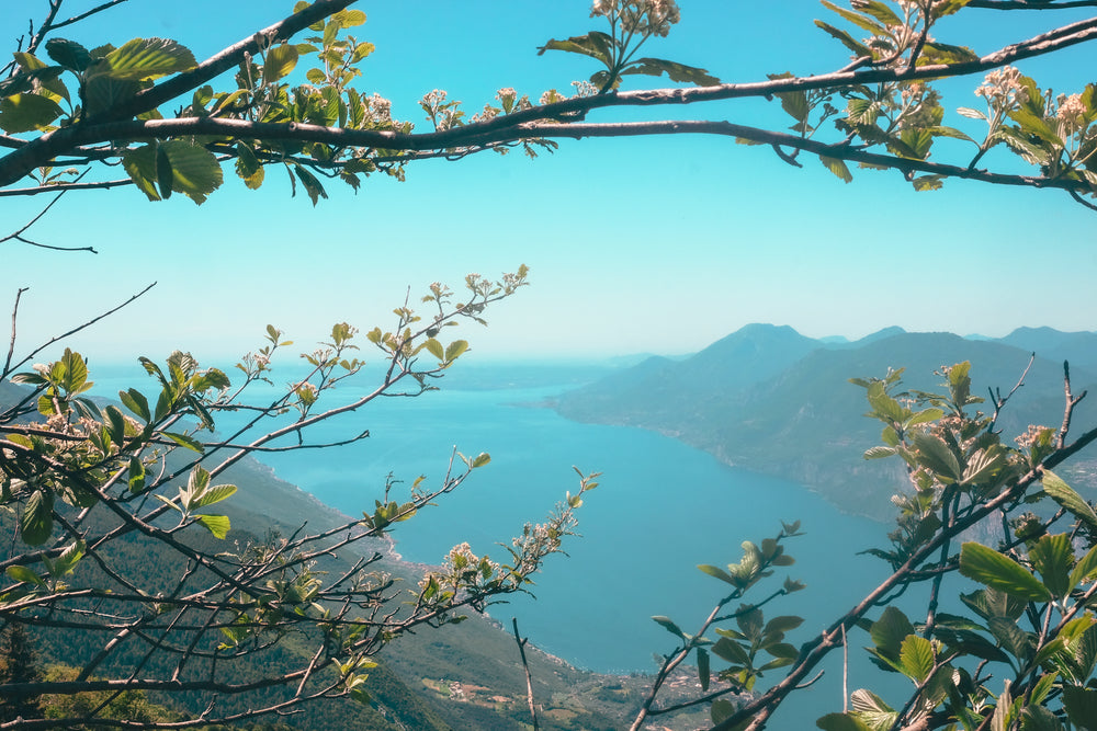 branches with spring blossoms frame a mountian view