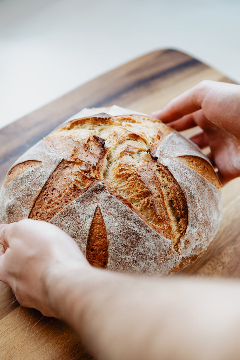 Unveiling the Truth: Can Dogs Safely Consume Bread? Discover the Truth About Bread and Dogs. Learn What Types Are Safe, The Risks of Harmful Ingredients and How Much They Can Have. Can Dogs Eat Bread? Find Out!