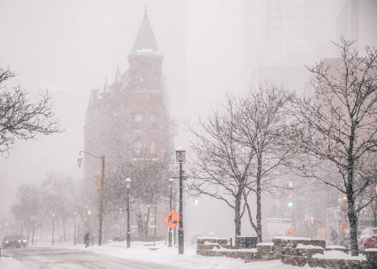 brick-office-building-with-turret-in-blizzard.jpg?width=746&format=pjpg&exif=0&iptc=0
