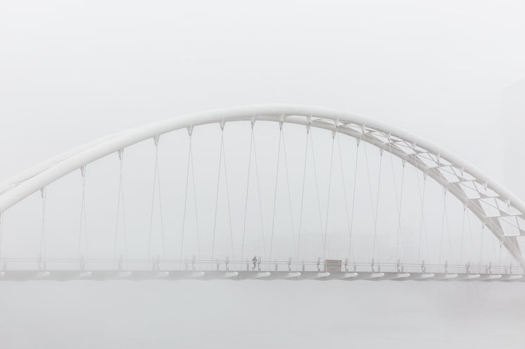 bride-side-through-fog.jpg?width=746&format=pjpg&exif=0&iptc=0