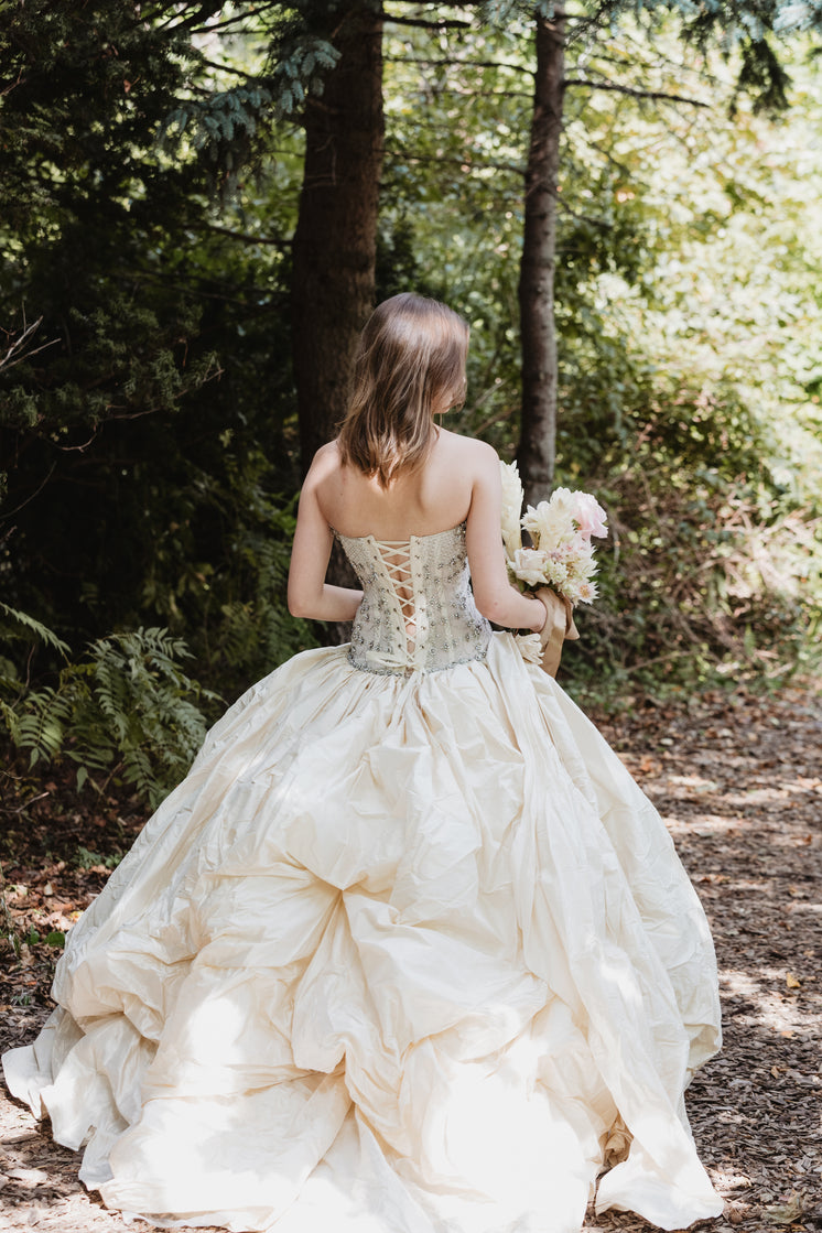 bride-walking-on-path.jpg?width=746&form
