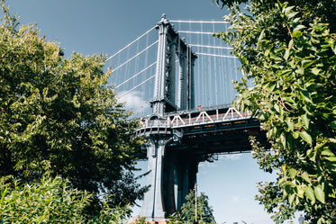 bridge through leafy trees