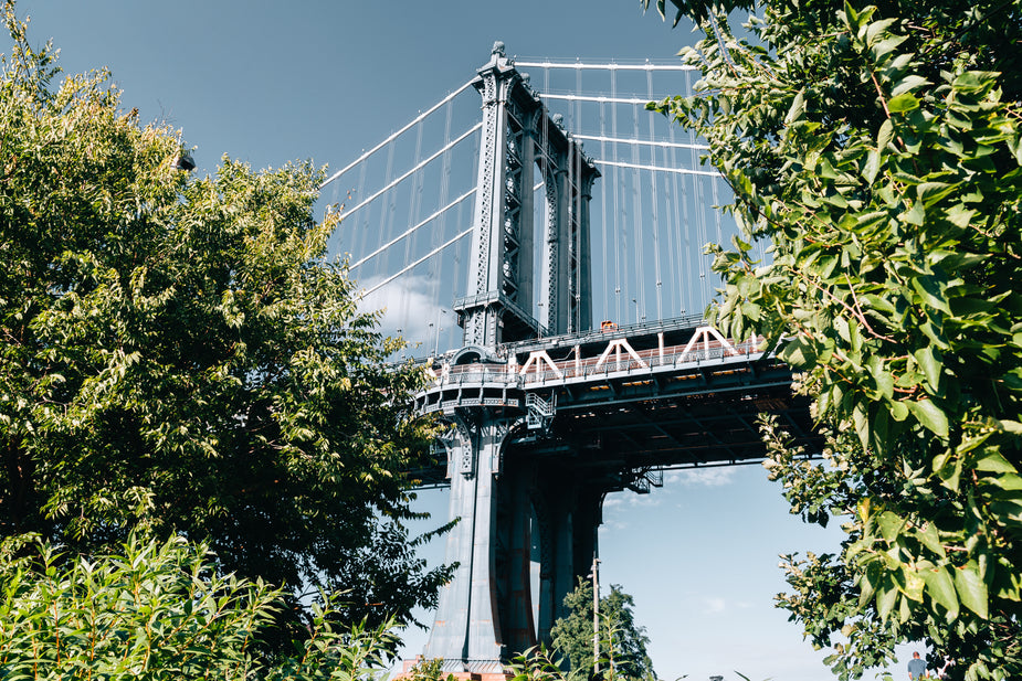 Bridge Through View Free Stock Photo of Bridge Through Leafy Trees — HD Images