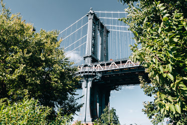 Free Stock Photo of Bridge Through Leafy Trees — HD Images