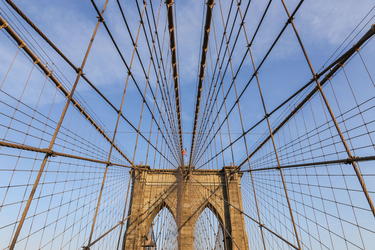 Bridge Wires Against Blue Sky