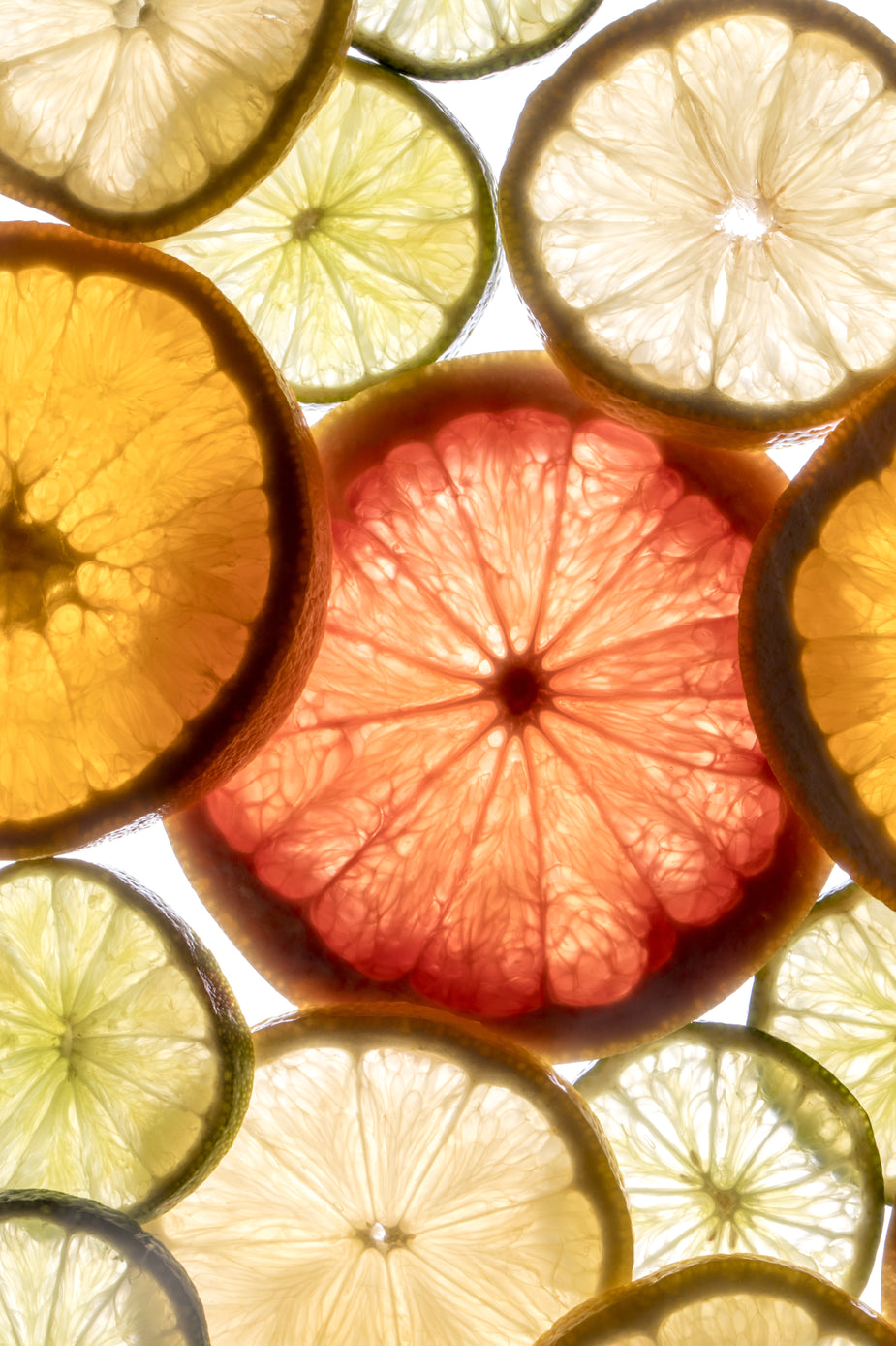 Browse Free HD Images of Bright Light Through Citrus Slices