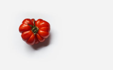 bright red heirloom tomato