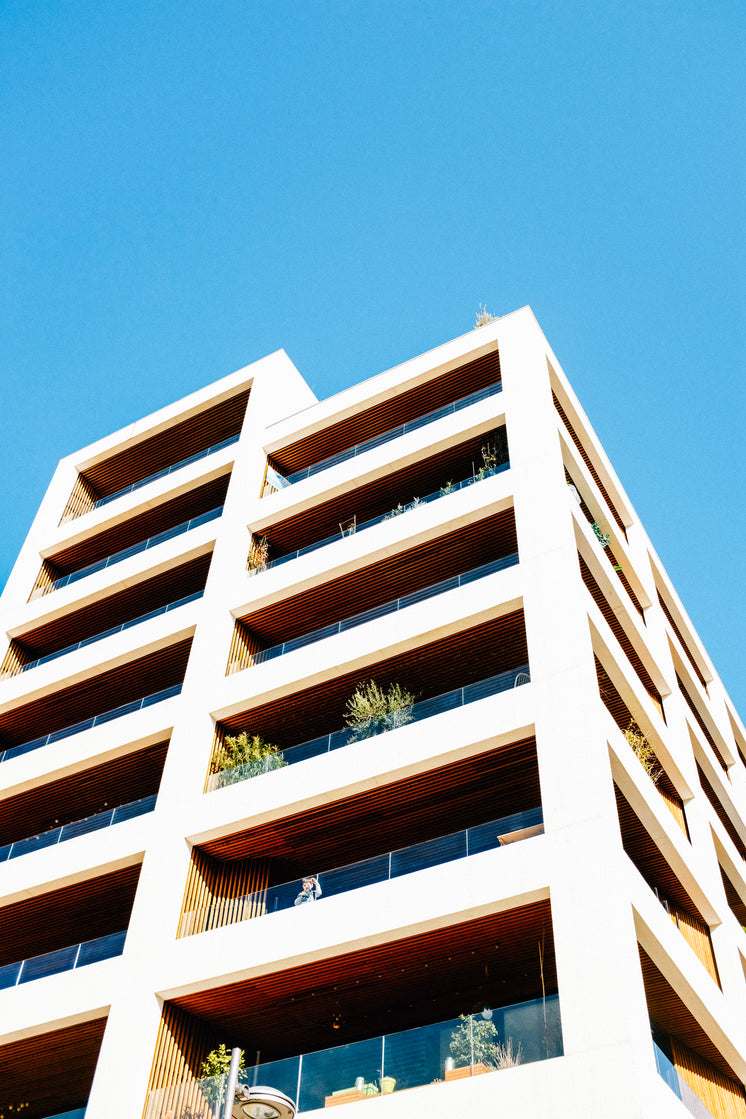bright-reflections-of-modern-building-exterior.jpg?width=746&format=pjpg&exif=0&iptc=0