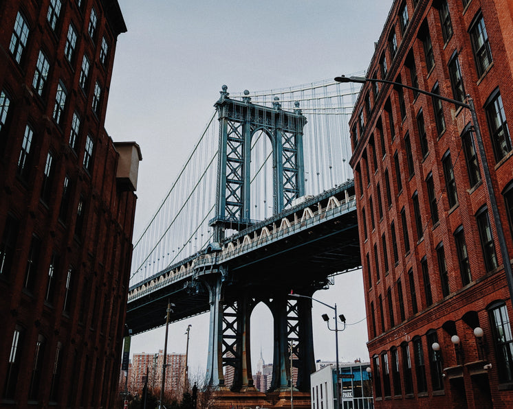 brooklyn-bridge-towers-over-brick-buildings-in-williamsburg.jpg?width=746&format=pjpg&exif=0&iptc=0