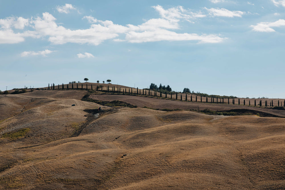 brown hill topped with green trees