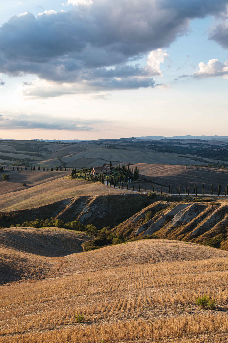 brown-rolling-hills-with-a-tree-lined-road.jpg?width=746&format=pjpg&exif=0&iptc=0