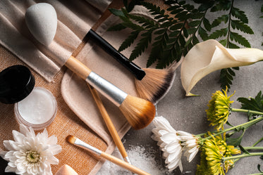 Free Stock Photo of Brushes Blossoms — HD Images