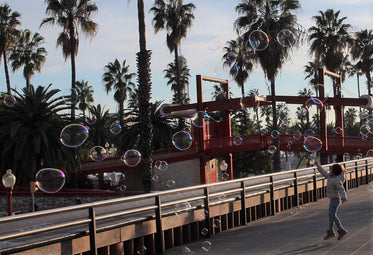 bubbles and palm trees