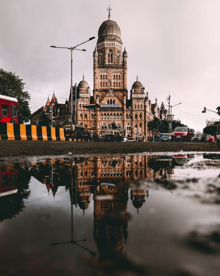 Building Reflected In Puddle