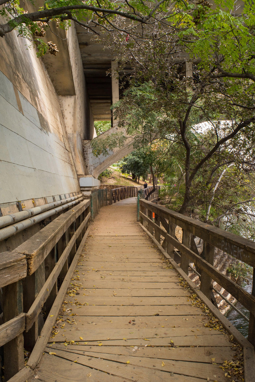 building side wood path