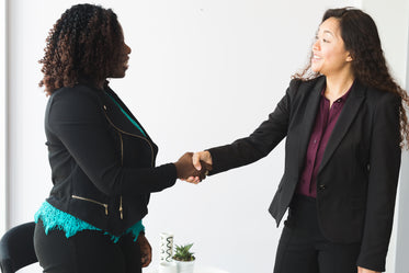 business women handshake