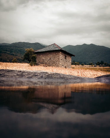 cabin in the wilderness