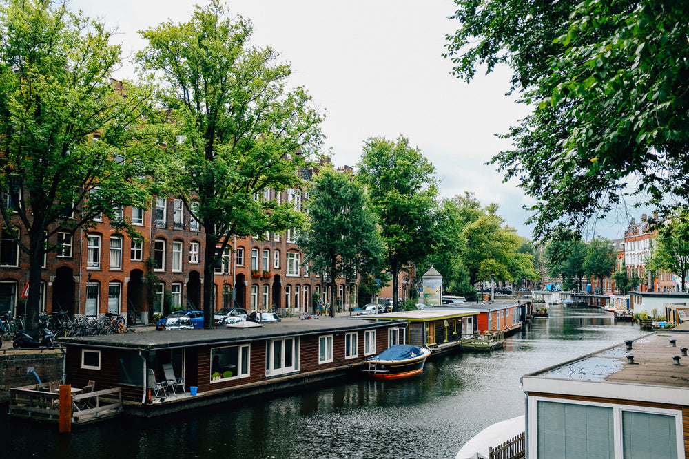 cabins floating on the water