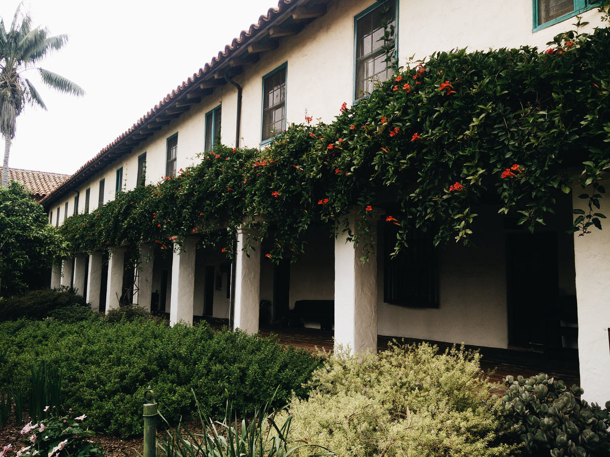 california apartments and greenery