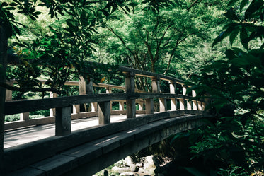 calm garden walking bridge