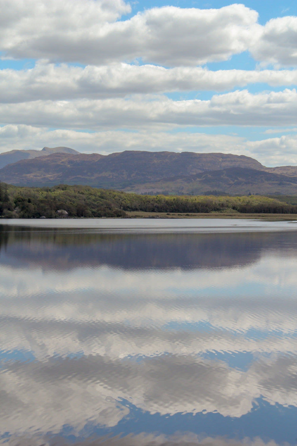 calm waters reflect puffy white clouds and blue skies