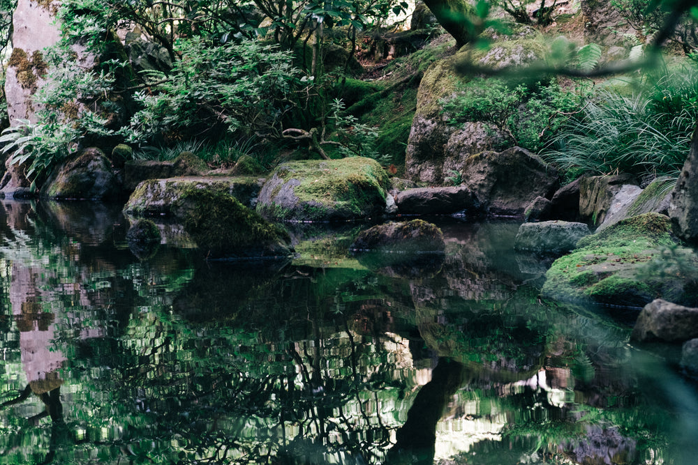 calm zen garden pond