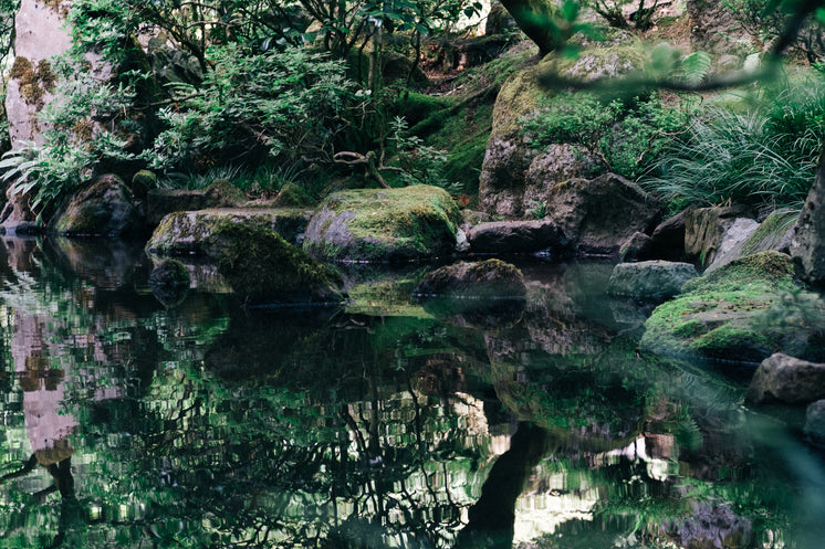 Calm Zen Garden Pond