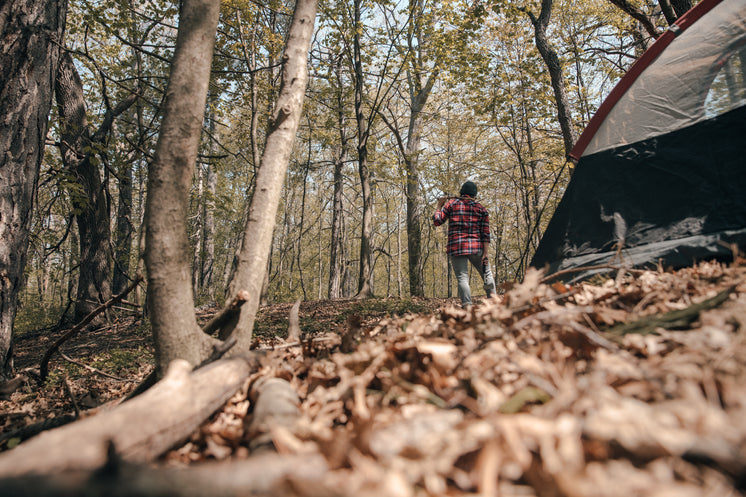 Camper Standing Beside Tent With Axe