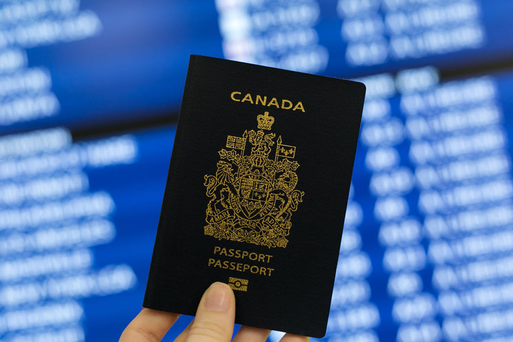 Canadian Passport In Hand