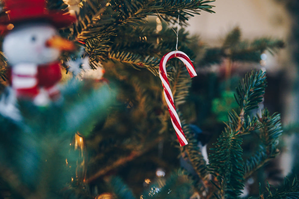 candy cane ornament on tree