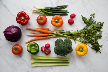 carrots and friends