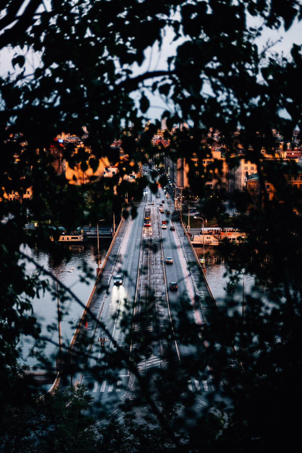 cars drive over bridge through trees