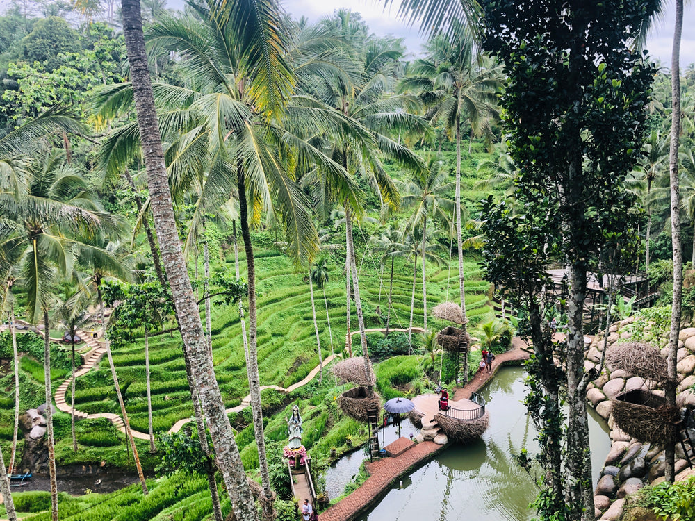 cascading hillside in indonesia