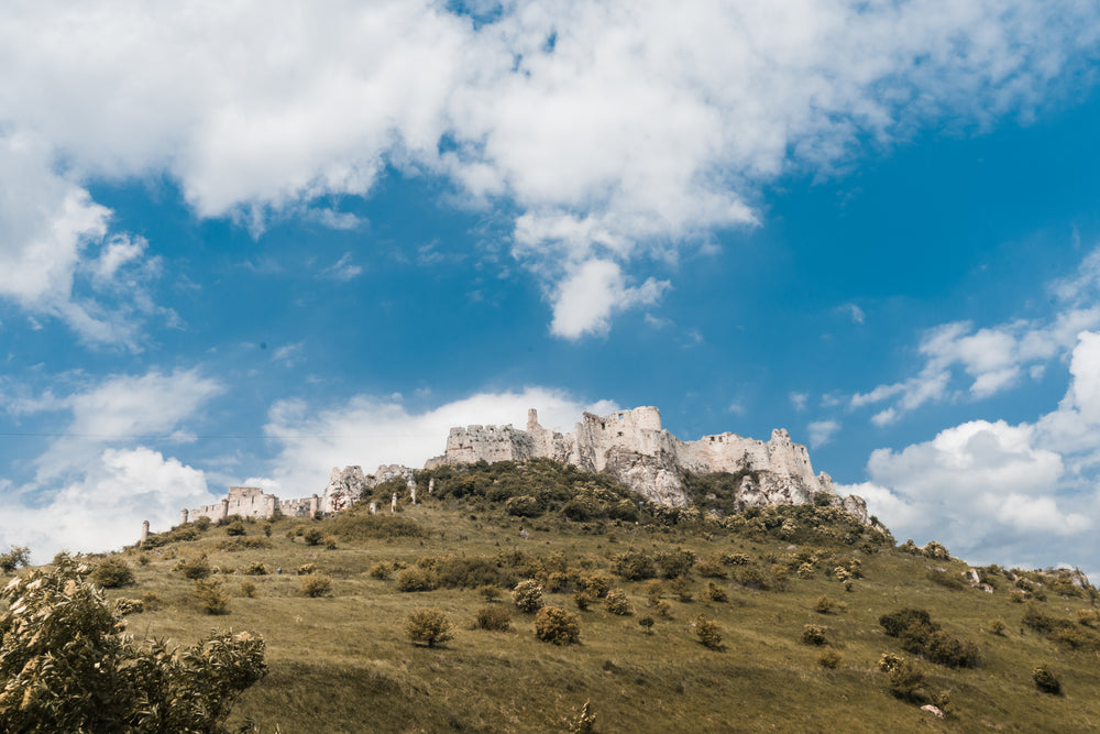 castle on a green hill top