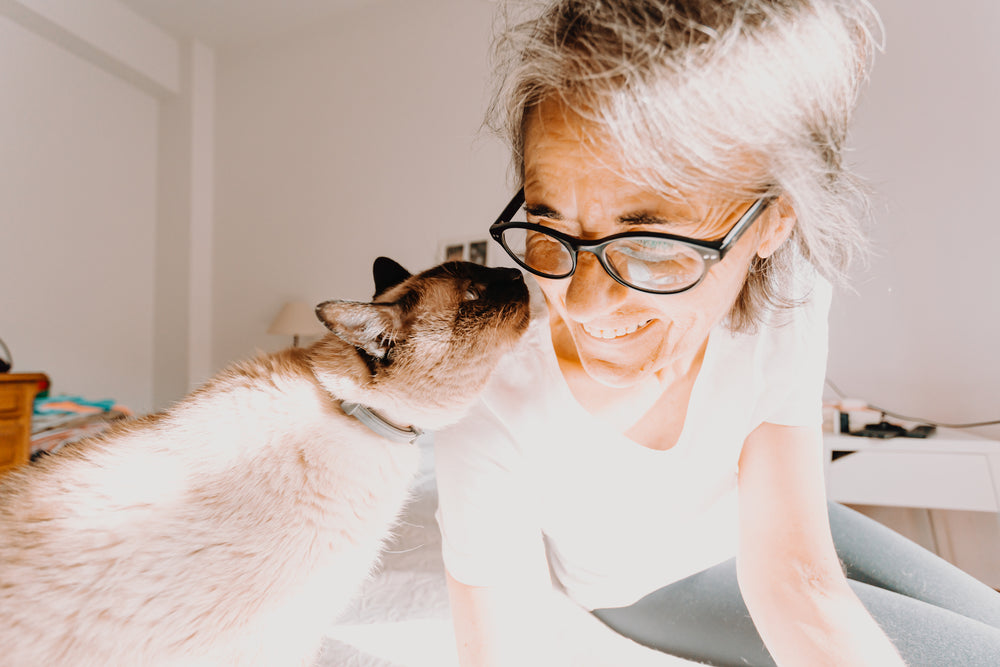 cat reaches its face towards its smiling owner