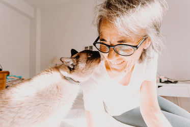 cat reaches its face towards its smiling owner