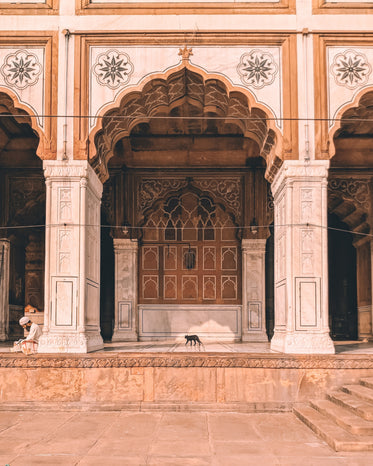 cat walking through ornate archway