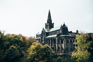 cathedral in the trees