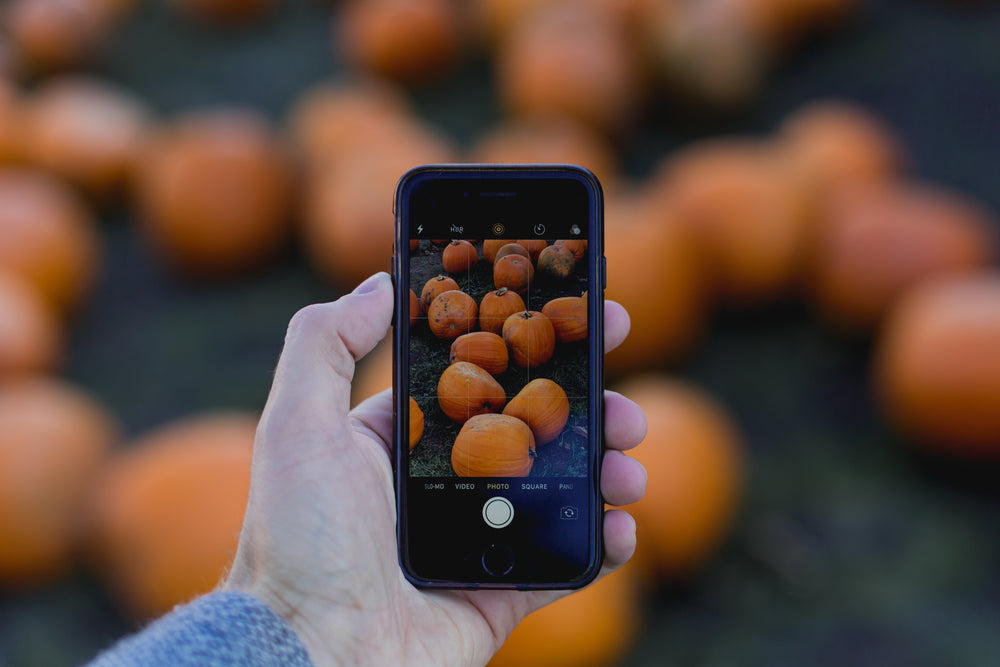 cell phone pumpkin picture