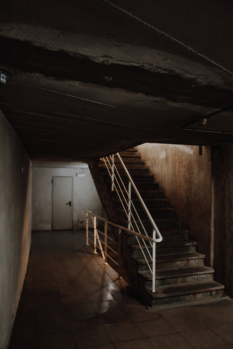 cement-staircase-with-white-railing-in-dark-building.jpg?width=746&format=pjpg&exif=0&iptc=0