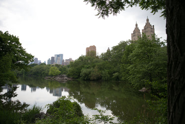 central park pond