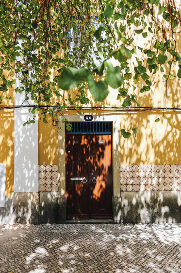 cheerful shady entrance