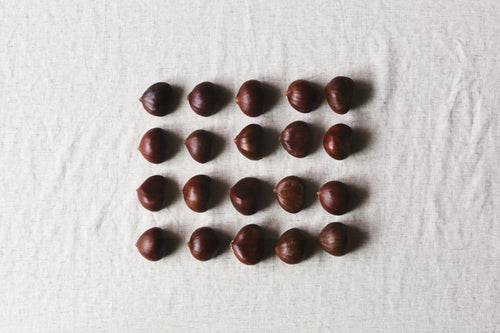 chestnuts lined up in a flatlay